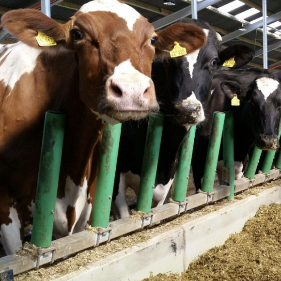 Screenshot at Aug 26 21-30-44