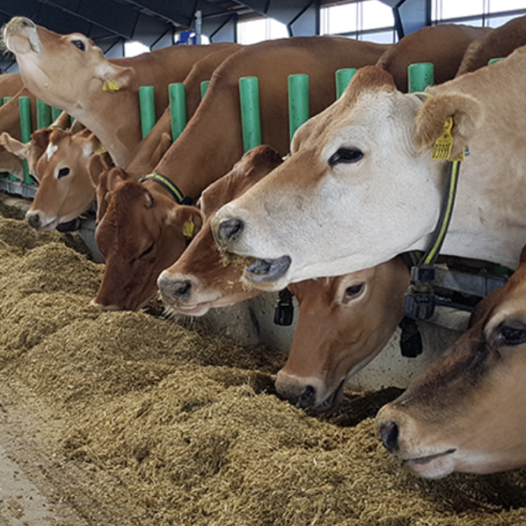 Screenshot at Aug 26 21-30-54